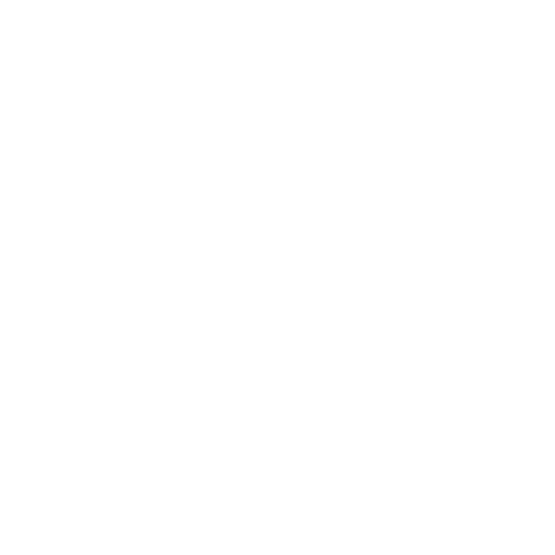 Pro Sanum Logo White